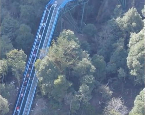 浙江臺(tái)州神仙居景區(qū),現(xiàn)在爬山都用電梯了,景區(qū)電梯直達(dá)山頂