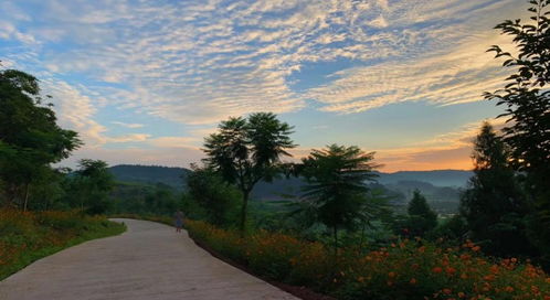 從桃花源到悠然島 園區(qū)管理服務(wù)的詩意進(jìn)化