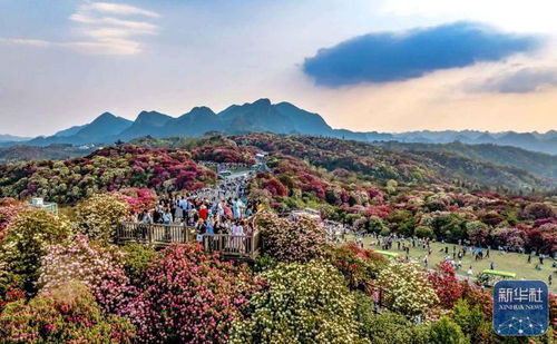 詩意中國丨春日上春山 文旅融合背景下的景區(qū)管理新思考